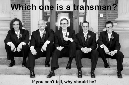 Photo of five men sitting on steps. Text reads "Which one is a trans man? If you can't tell, why should he?"
